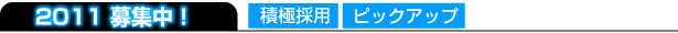 2011_pick.jpg
